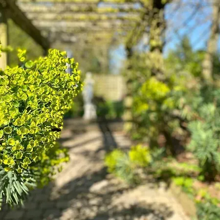 Prieure De La Chesnaie X Melrose Apartment *