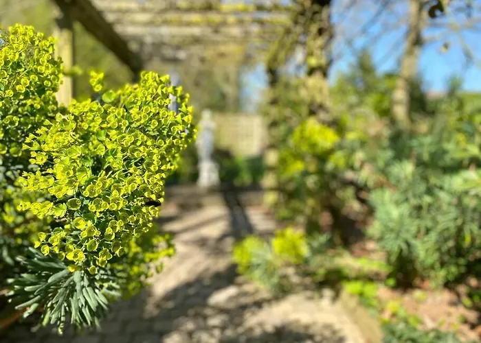 Prieure De La Chesnaie X Melrose Apartment *